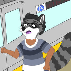 Raccoon On The Platform