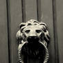 LiOn doorknocker