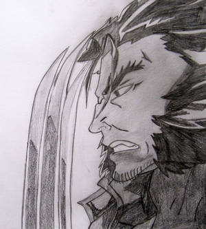 Wolverine sketch