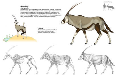 Final Gemsbok