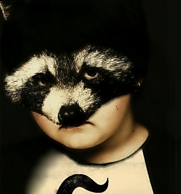 South Park: REAL Coon