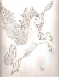 Just a Pegasus