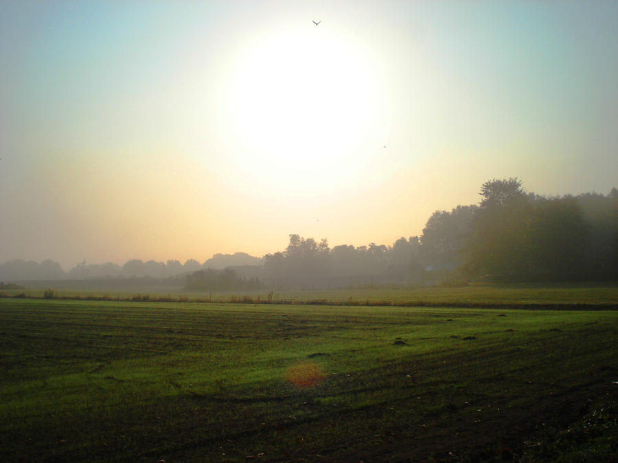 Magical sunday morning light by AspendingKills on DeviantArt