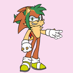 Max.C. The HedgeHog *O.C. DO NOT STEAL*