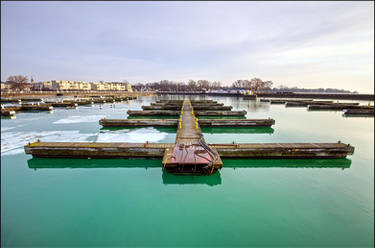 January Thaw At The Marina