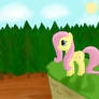 Fluttershy's Hill