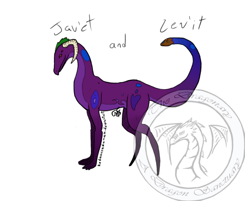 Jav'et and Lev'it colored