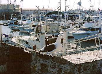 El Malecon, Ensenada B.C.