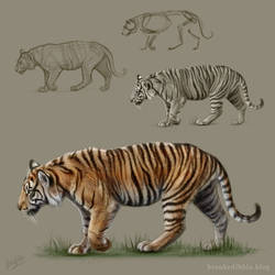 Tiger study April '17