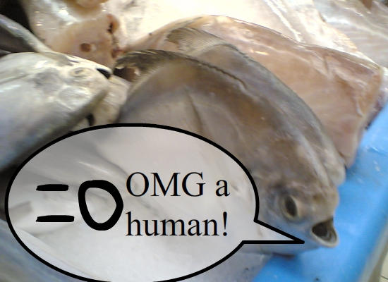 Shocked Fish by Itch86 on DeviantArt