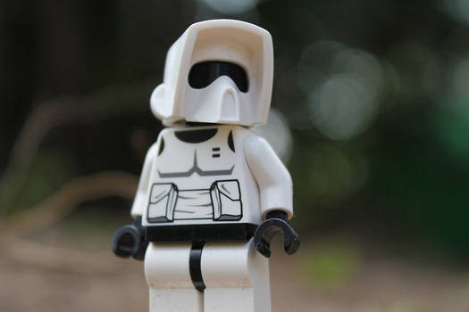 Scout Trooper