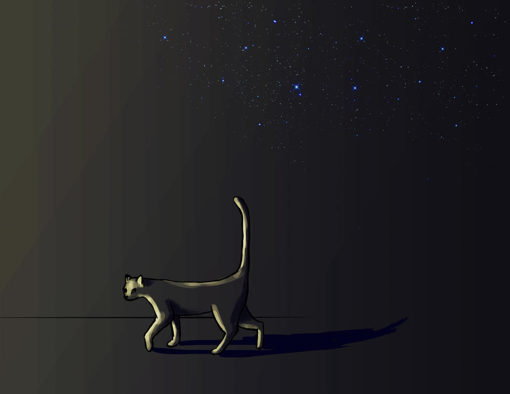 Nightcat