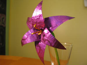 Wrapper Lily :Purple: 3