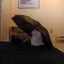 kitty+umbrella:1