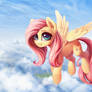 Fluttershy