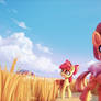 Fields