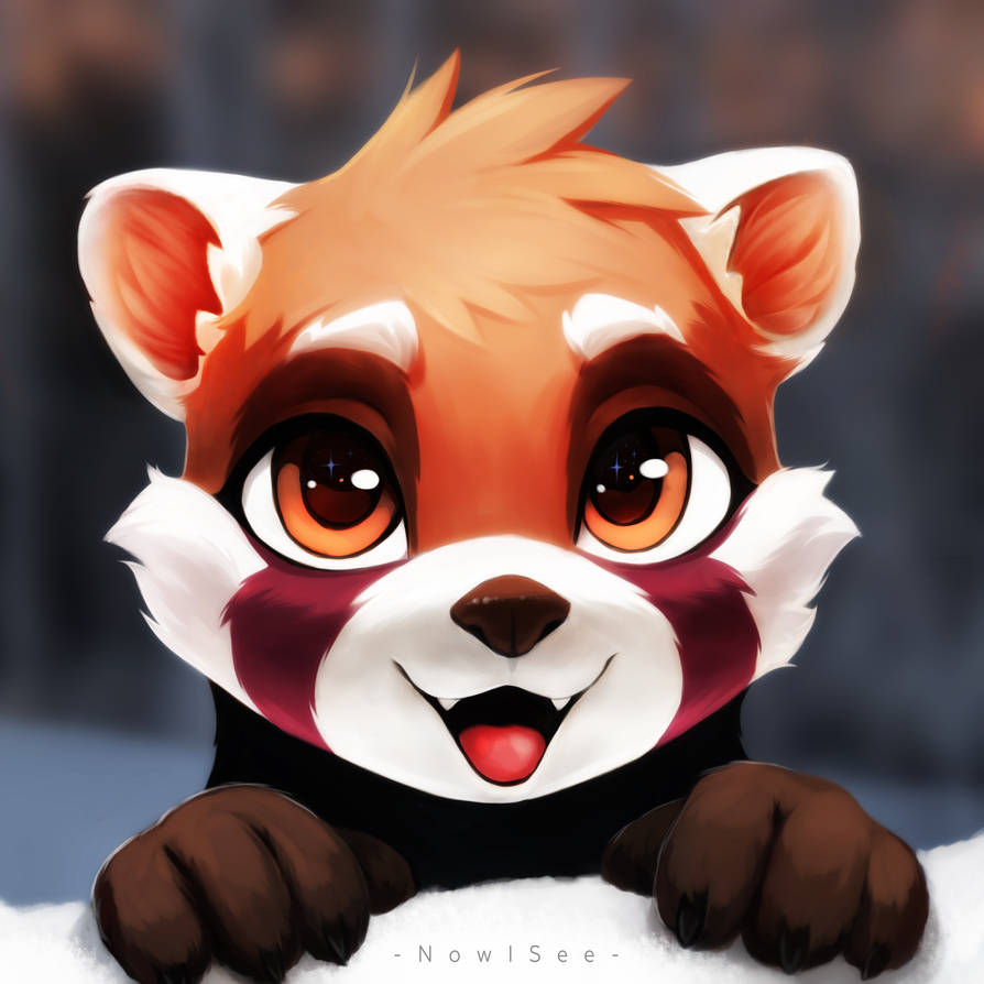 Red panda by NowISee17 on DeviantArt