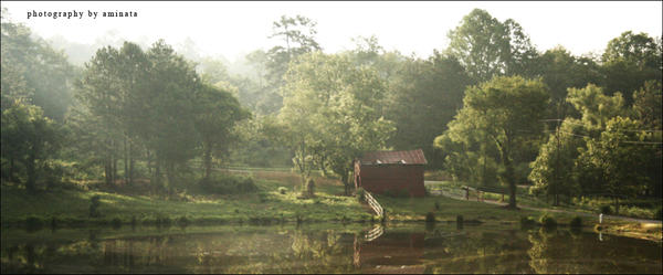 Early Morning Light