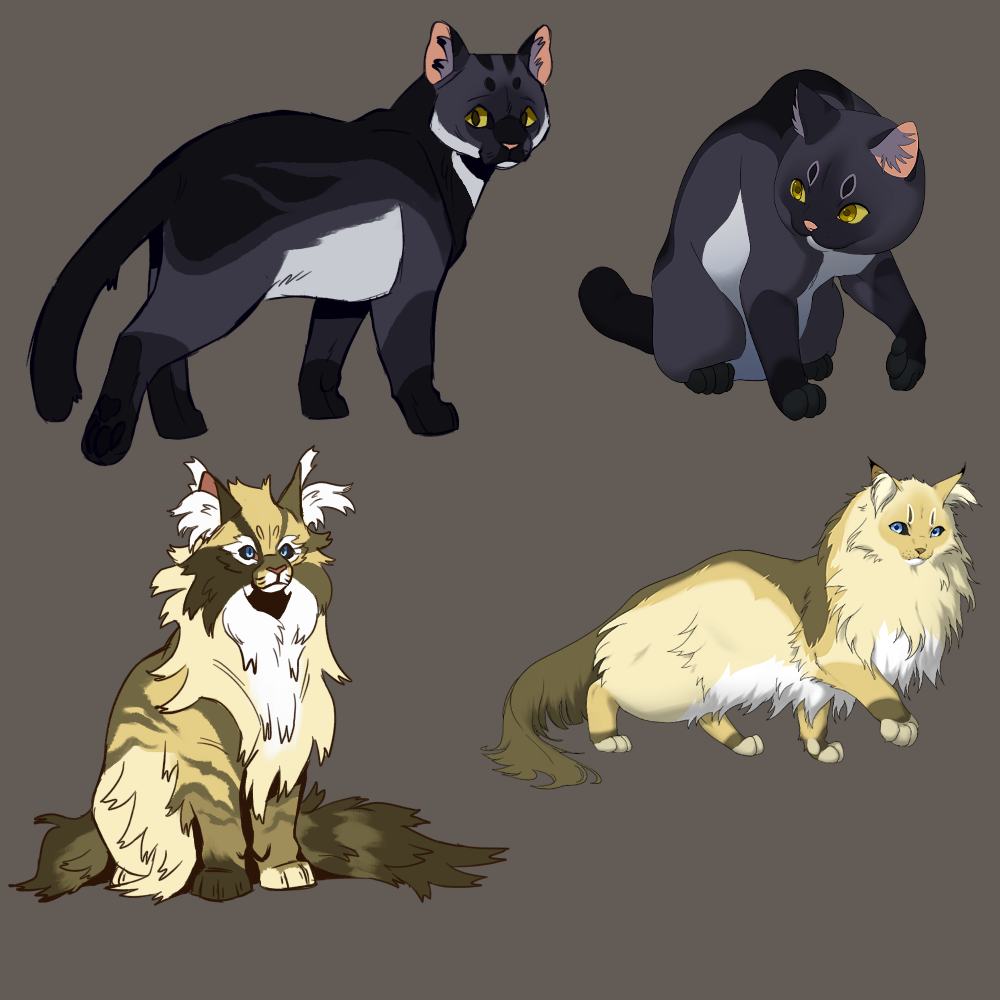 Kit Cats by RedPandaAnimations on DeviantArt