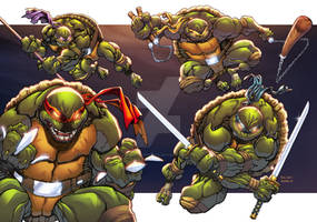 Teenage Mutant Ninja Turtles - TMNT