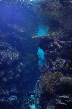 Premade background -  underwater scene (sea) 3