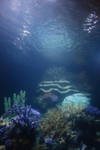 Premade background  underwater scene (sea) 20 by carinklabbers