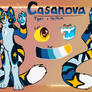 Casanova revamp 1.3