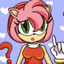 Concerns From Amy Rose