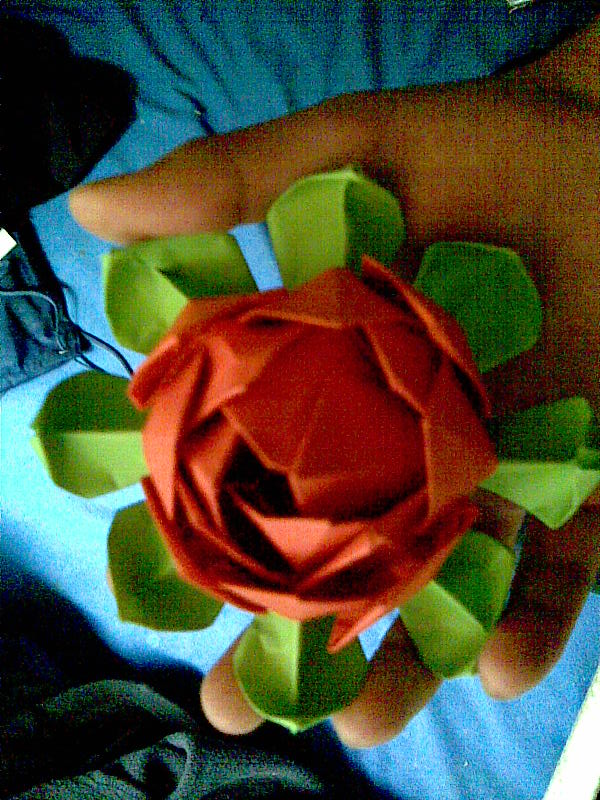 Origami lotus flower