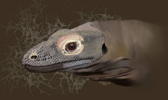 Komodo Dragon