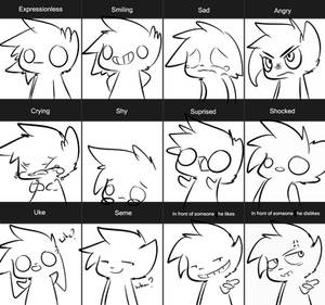 Expression chart (Rickey)