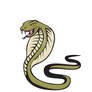 Cobra Viper Snake Attacking Cartoon