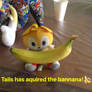 An old photo of a Tails plush with a banana