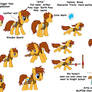 My Little Pony FIM OC entry