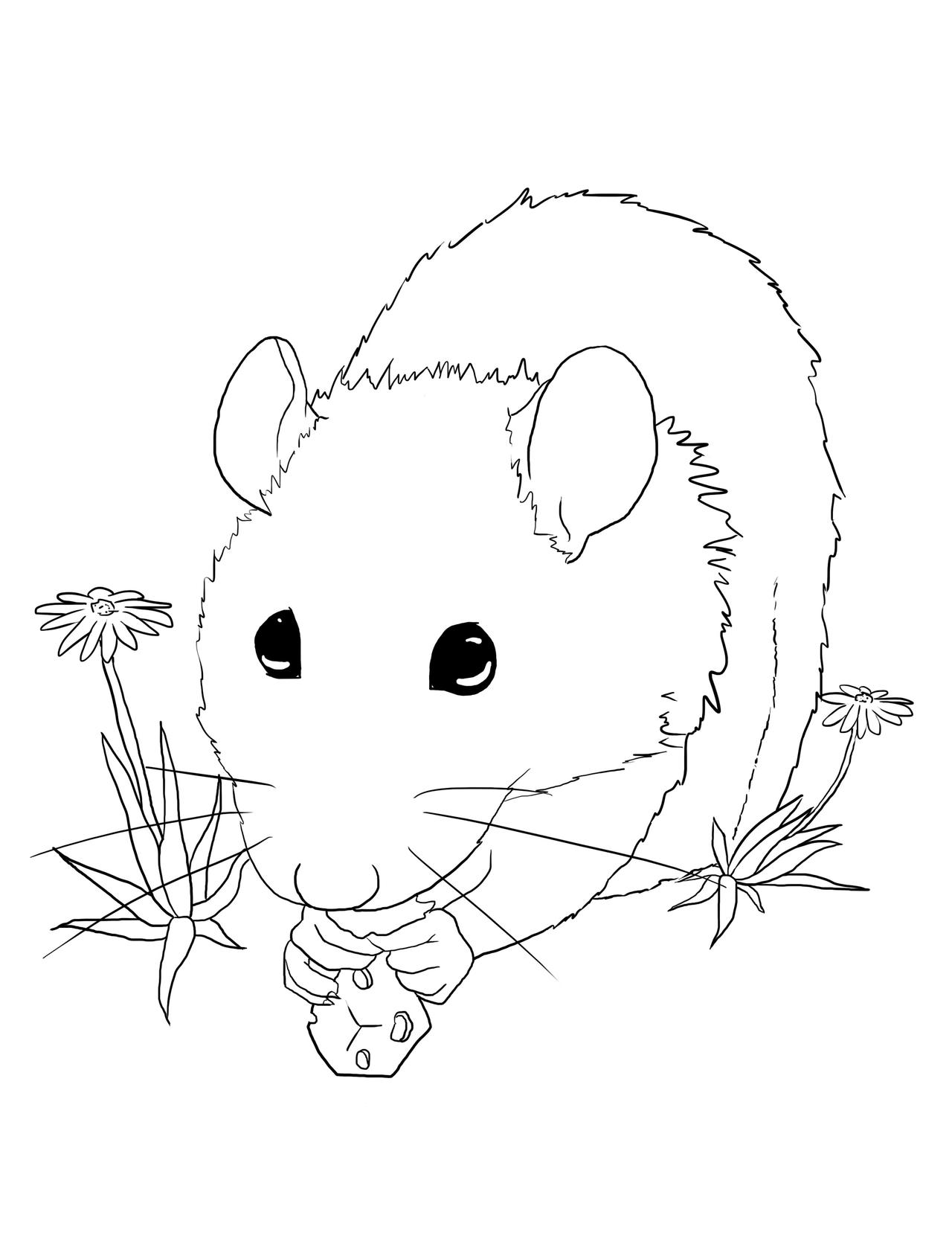 Rat coloring page by StarlightAbyss on DeviantArt