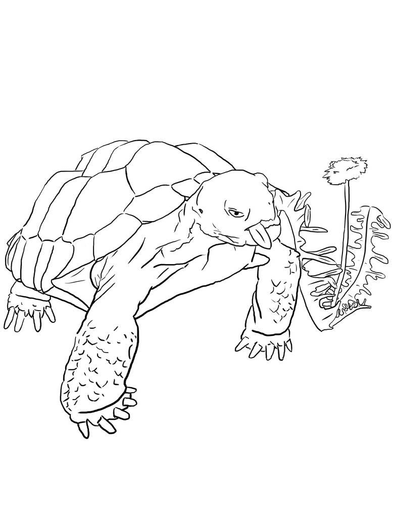 Colorable Saging Sage coloring page by StarlightAbyss on DeviantArt