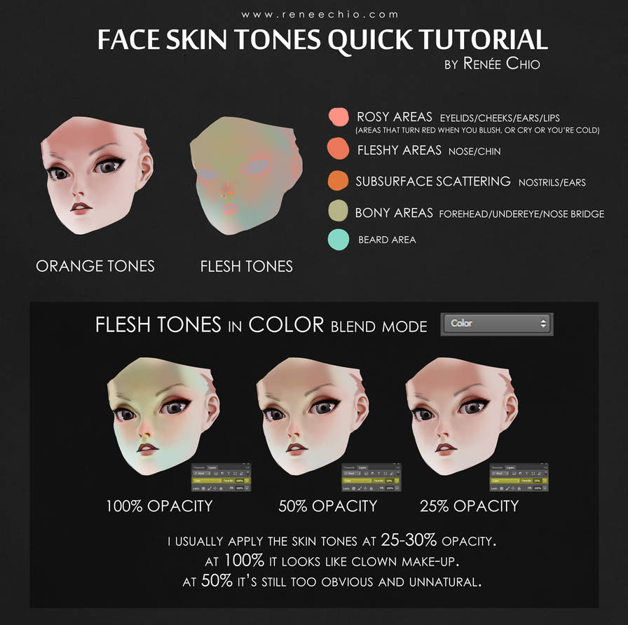 Skin tones tutorial by reneechio on DeviantArt