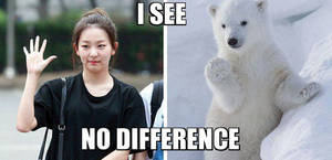 Lol @ Seulgi Bear