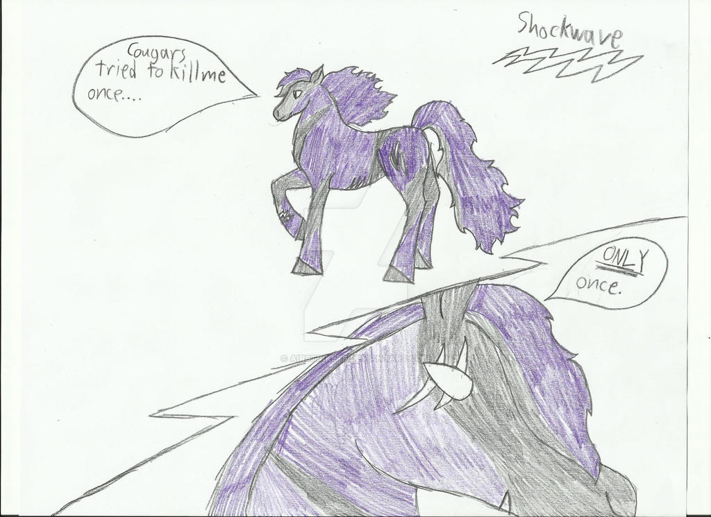 Horse Shockwave