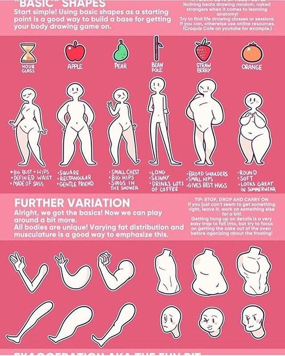 female body types by TheExample0 on DeviantArt