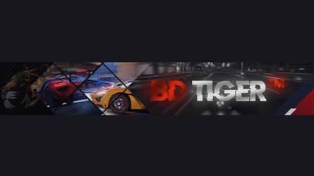 Youtube cover/Banner for BD TIGER