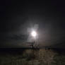 Desert moon
