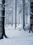 Snow Background by PVS