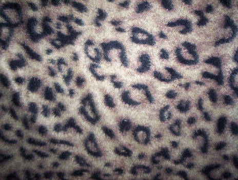 Pixievamp-Texture-cheeta