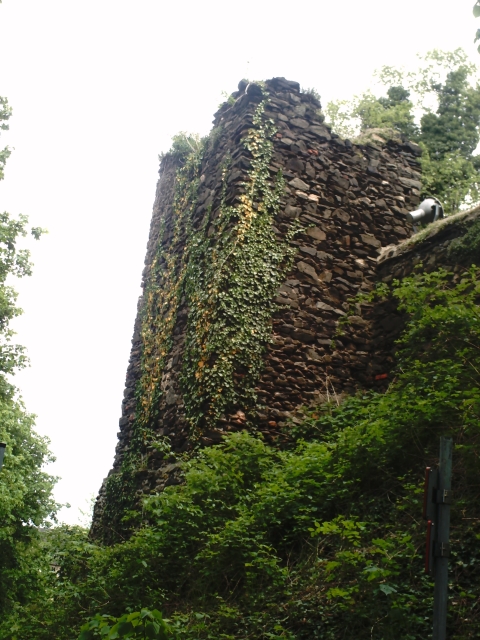 Ivy Covered Tower By PVS