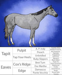 HARPG - D C Tapit