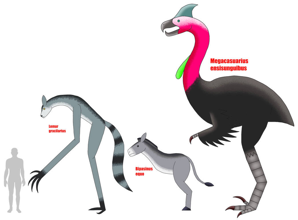 Counterintuitive Evolution Three Speculative Evolution Oddities by LordOverCharge on DeviantArt