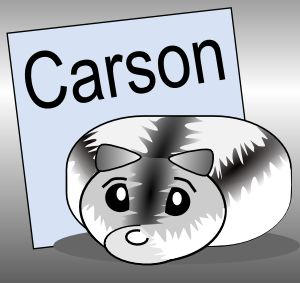 Carson logo by ratofthelab on DeviantArt