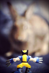 Wolverine vs..