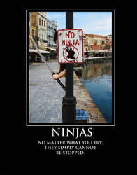 Ninjas...Can't Stop 'Em